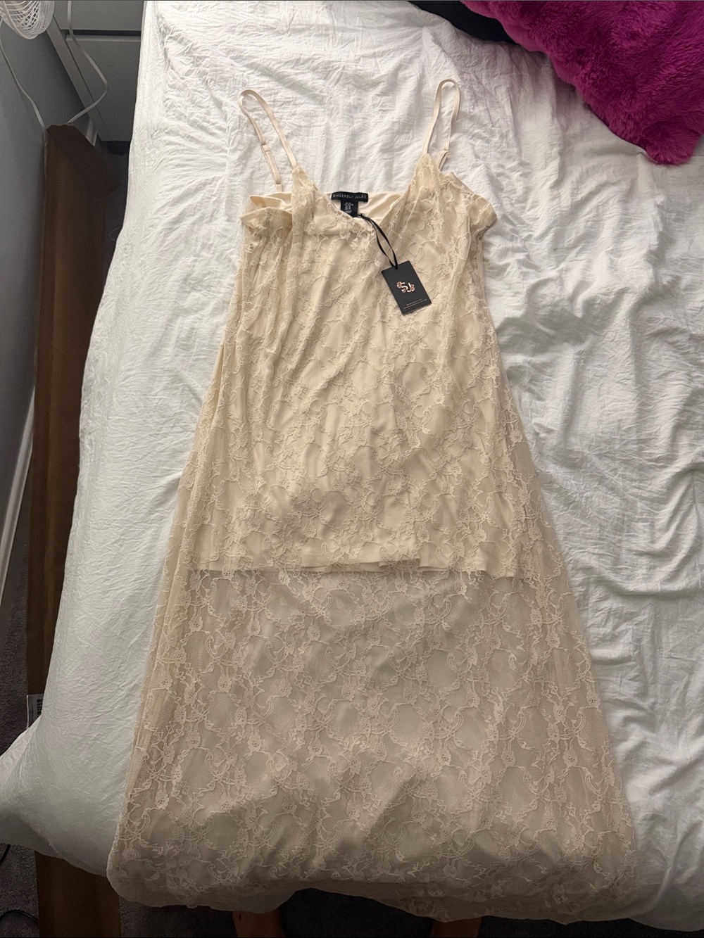 Lace Dress in Champagne